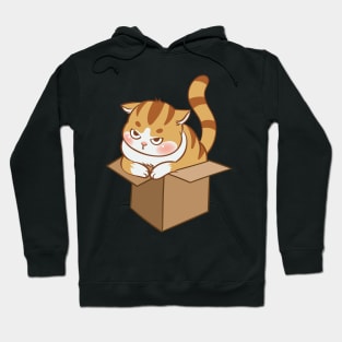 Orange cat in the box Hoodie